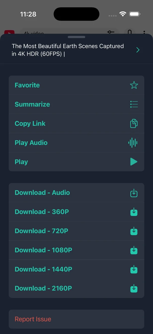 Download menu in the built-in browser